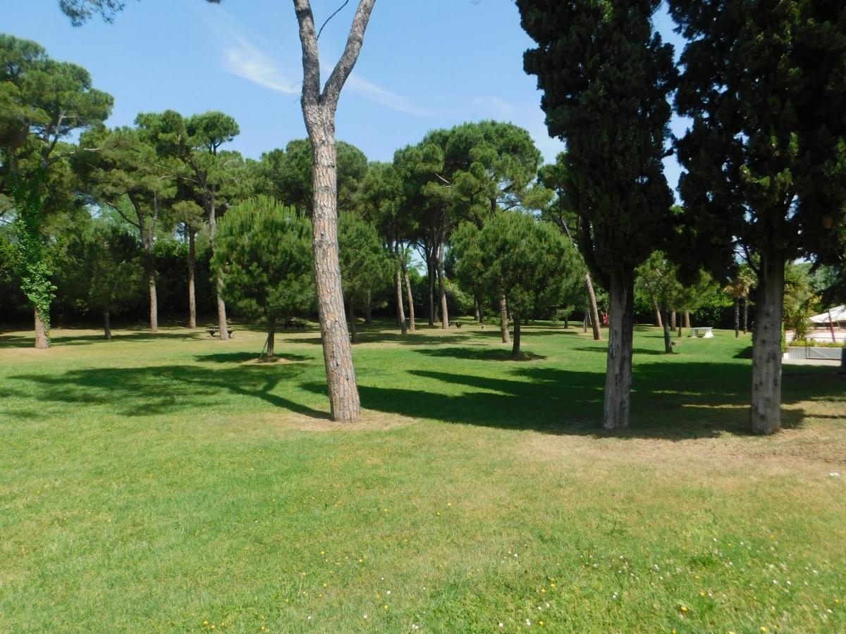 Apartmán Lato Soleggiato @Gardazzurro Padenghe sul Garda Exteriér fotografie